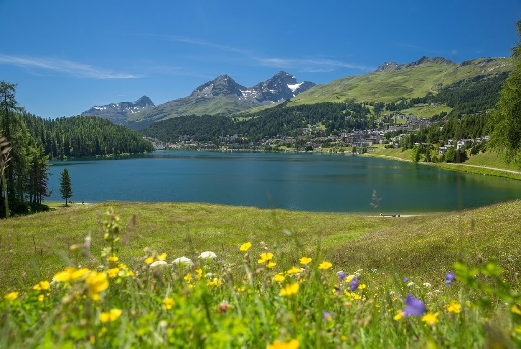 Bergsee mit grüner Wiese und bunten Wildblumen, dahinter Berge und Dorf unter blauem Himmel